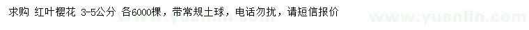 求購3-5公分紅葉櫻花
