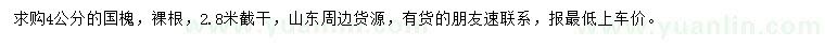 求購(gòu)4公分國(guó)槐