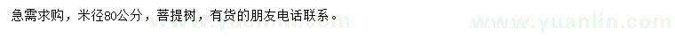 求購(gòu)米徑80公分菩提樹(shù)