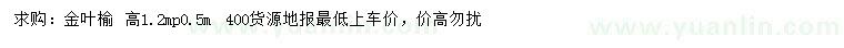 求購高1.2米金葉榆