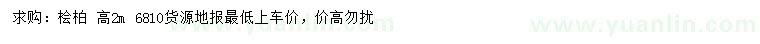 求購高2米檜柏