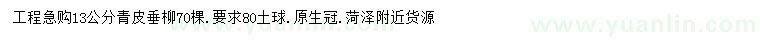 求購13公分青皮垂柳