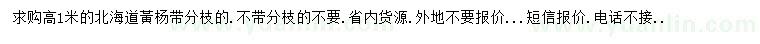 求購(gòu)高1米北海道黃楊