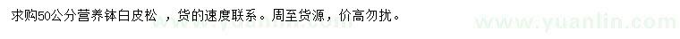 求購50公分白皮松