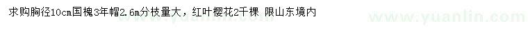 求購胸徑10公分國槐、紅葉櫻花