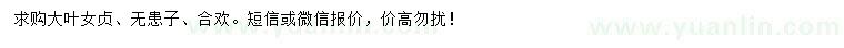 求購(gòu)大葉女貞、無(wú)患子、合歡