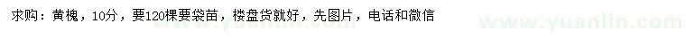 求購(gòu)10公分黃槐