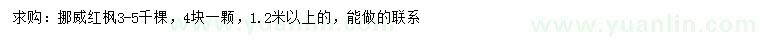 求購1.2米以上挪威紅楓