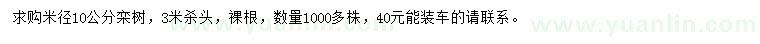 求購米徑10公分欒樹