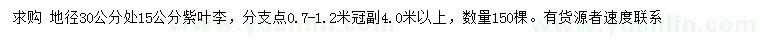 求購(gòu)30公分量15公分紫葉李