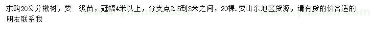 求購20公分楸樹