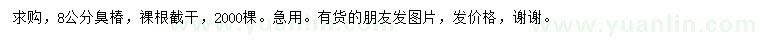 求購8公分臭椿
