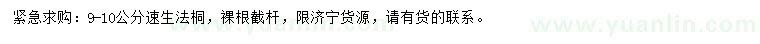 求購9-10公分速生法桐