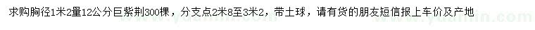 求購1.2米量12公分巨紫荊