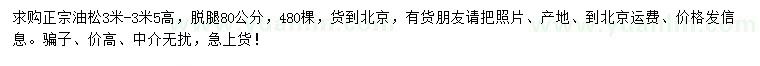 求購(gòu)3-3.5米油松