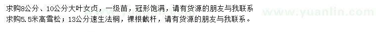 求購大葉女貞、雪松、速生法桐