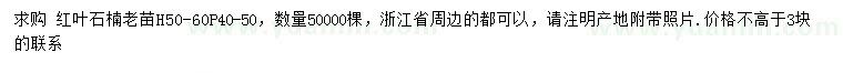求購高50-60公分紅葉石楠