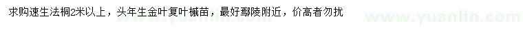 求購(gòu)2米以上速生法桐、頭年生金葉復(fù)葉槭