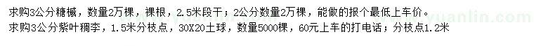 求購(gòu)3公分糖槭、紫葉稠李