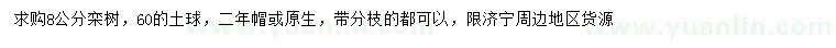 求購8公分欒樹
