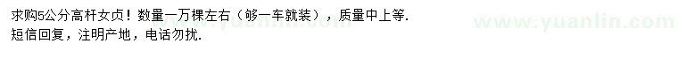 求購5公分高桿女貞