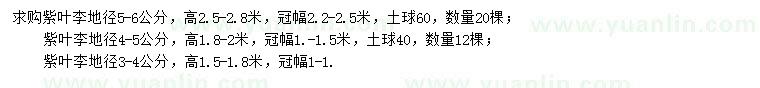 求購地徑5-6、4-5、3-4公分紫葉李