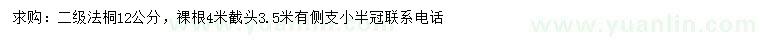 求購12公分二級法桐