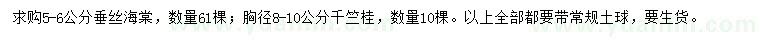 求購5-6公分垂絲海棠、5-6公分千竺桂