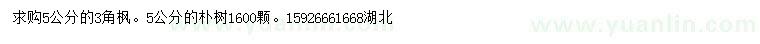 求購(gòu)5公分3角楓、樸樹