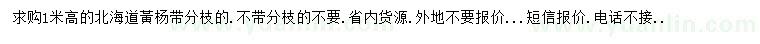求購高1米北海道黃楊