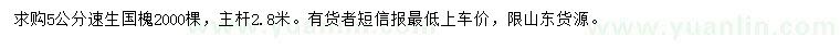 求購5公分國槐苗 