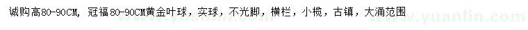 求購(gòu)80-90公分黃金葉球