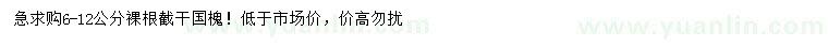 求購(gòu)6-12公分國(guó)槐