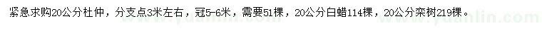 求購20公分杜仲、白蠟、欒樹