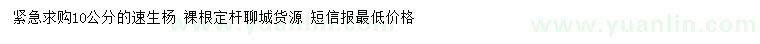 求購10公分速生楊