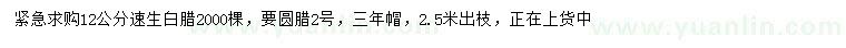 求購12公分速生白臘
