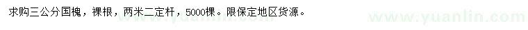求購3公分國槐