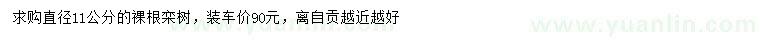 求購直徑11公分裸根欒樹