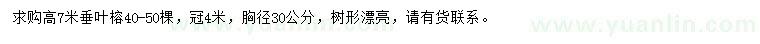求購高7米垂葉榕