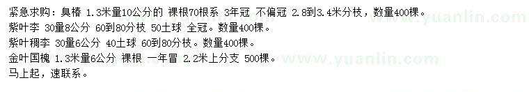 求購臭椿、紫葉李、紫葉稠李等