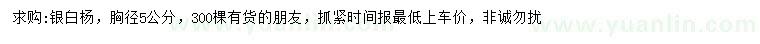 求購胸徑5公分銀白楊
