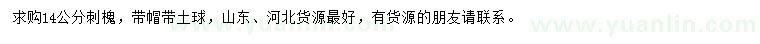 求購14公分刺槐