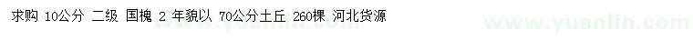 求購10公分國槐
