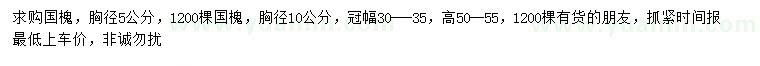 求購(gòu)胸徑5、10公分國(guó)槐