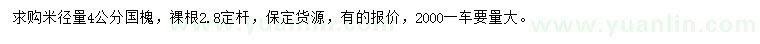 求購(gòu)米徑4公分國(guó)槐