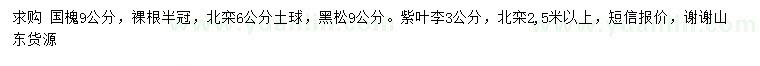 求購國槐、北欒、黑松等