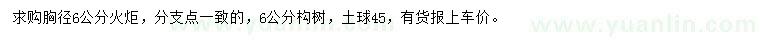 求購(gòu)胸徑6公分火炬、構(gòu)樹