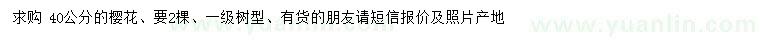 求購40公分櫻花