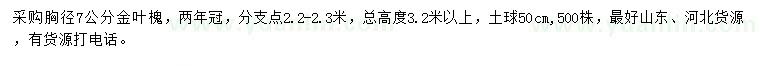 求購(gòu)胸徑7公分金葉槐