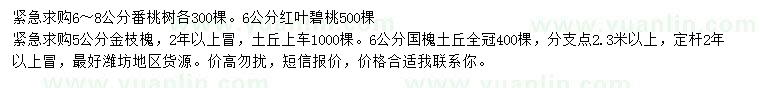 求購番桃樹、紅葉碧桃、金枝槐等